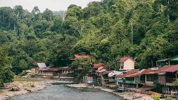Bukit Lawang