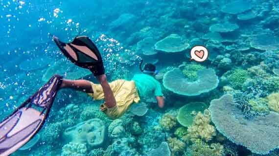 objek wisata wakatobi