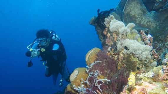 objek wisata taman laut olele