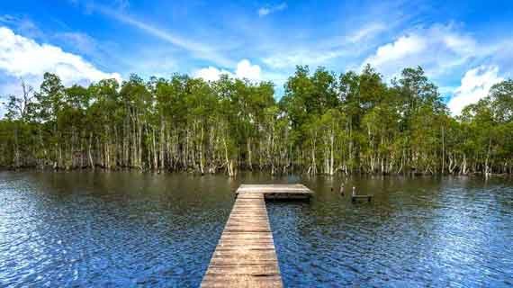 Objek Wisata Merauke dan Taman Nasional Wasur