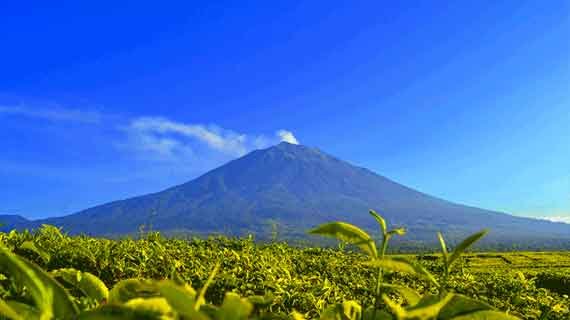 wisata gunung kerinci