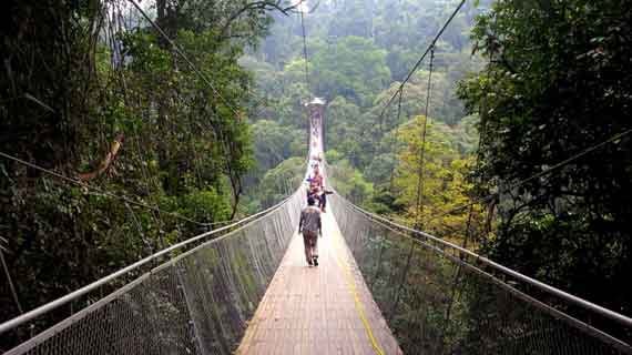 wisata gunung gede pangrango