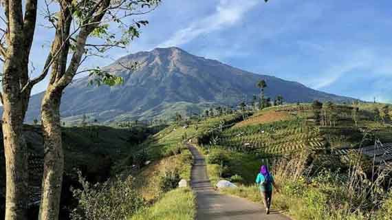 wisata gunung sumbing