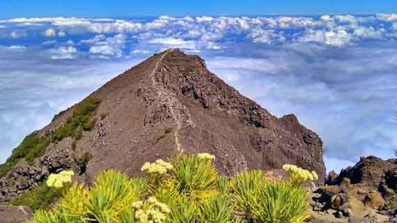 wisata gunung raung