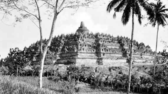 dinasti candi borobudur