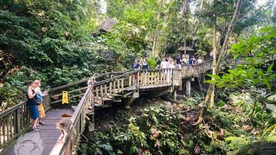 wisata monkey forest ubud