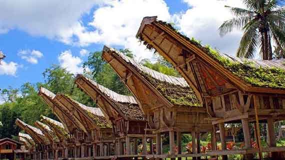 wisata tana toraja