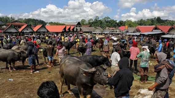 objek wisata pasar bolu