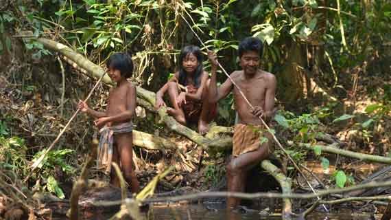 Taman Nasional Bukit Duabelas