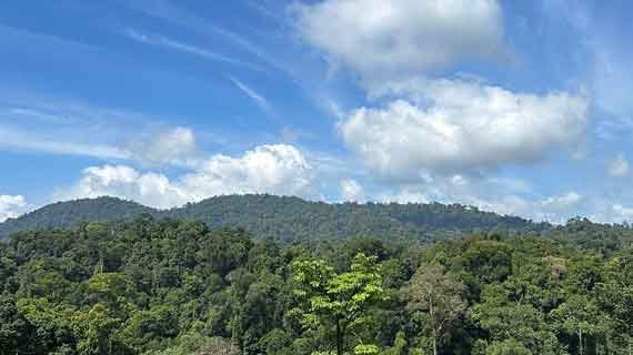 wisata Taman Nasional Bukit Duabelas & Berbak