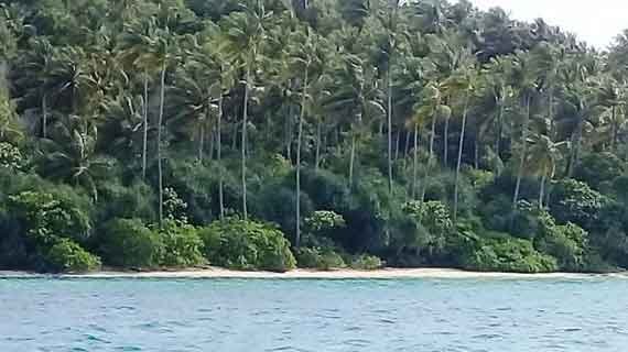 Wisata Pulau Tiga