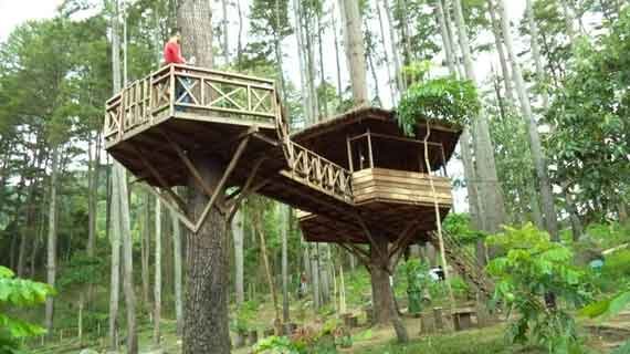 wisata Taman Hutan Raya Pocut Meurah Intan