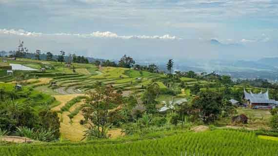 Wisata Desa Pariangan