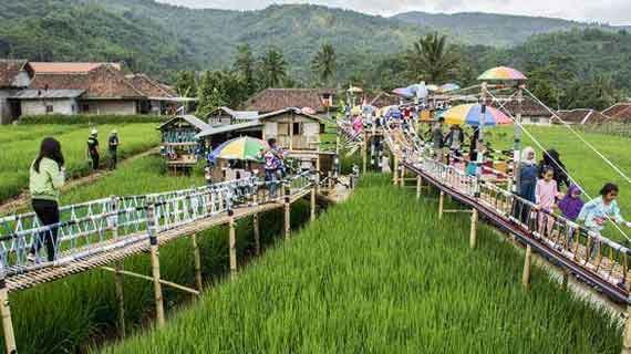agro wisata edukasi