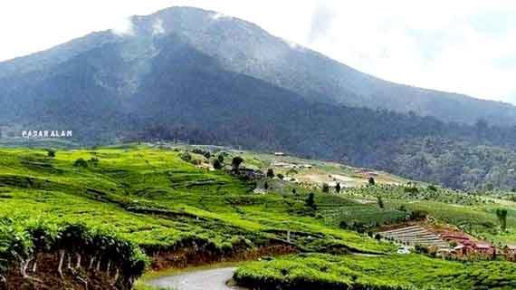 aktivitas vulkanik gunung dempo