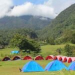 camping di Taman Nasional Gunung Gede Pangrango