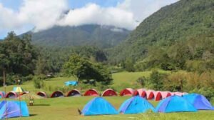 camping di Taman Nasional Gunung Gede Pangrango