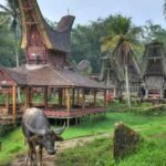 desa terindah di Indonesia