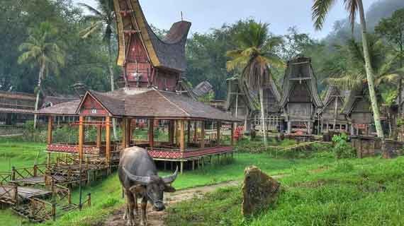 desa terindah di Indonesia