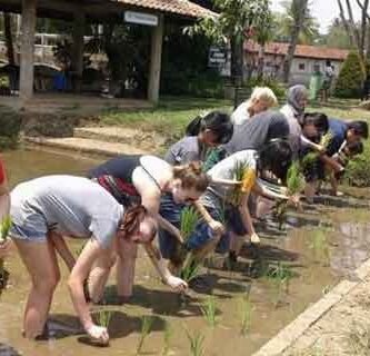 desa wisata edukatif Bogor