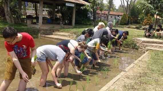 desa wisata edukatif Bogor