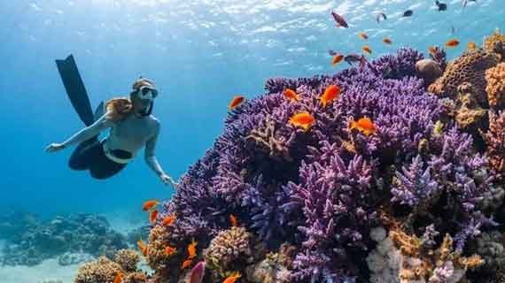 diving di Wakatobi