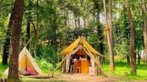edukasi lingkungan di punti kayu