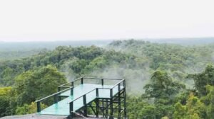 ekowisata bukit peramun