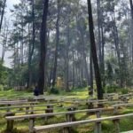 ekowisata taman punti kayu