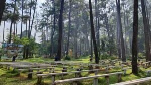 ekowisata taman punti kayu