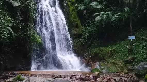 jalur trekking batu layang