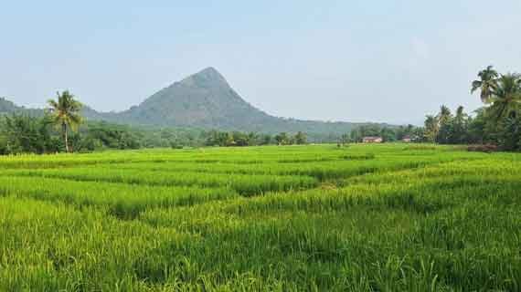 kawasan hijau bukit besak