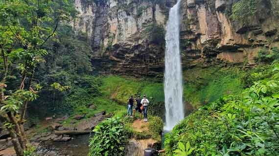 kawasan hutan sekitar air terjun