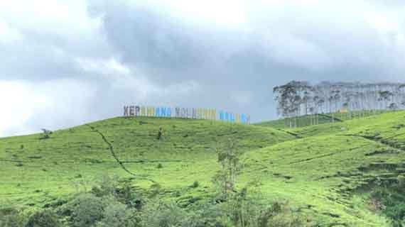 kebun teh kabawetan