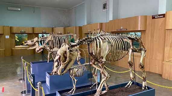 museum terbaik untuk edukasi anak