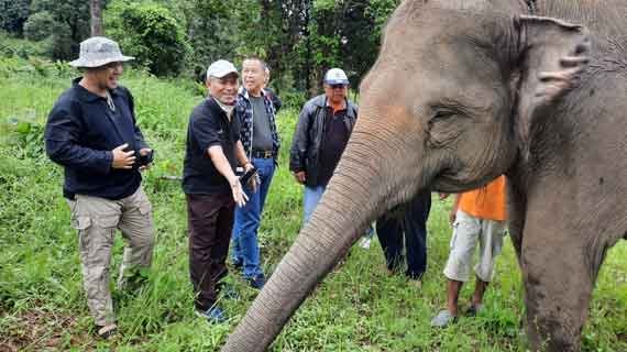 pengamatan flora dan fauna bukit besak