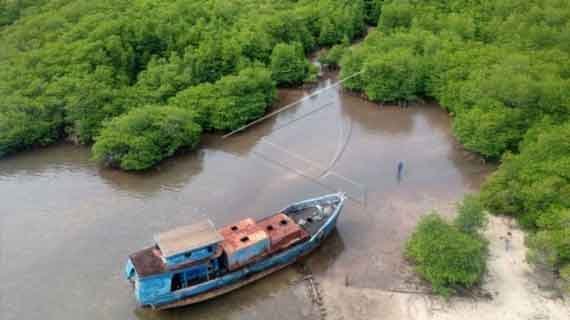 potensi ekowisata hutan mangrove