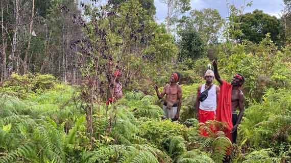 program pelestarian hutan adat