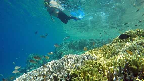 pulau pahawang bawah laut