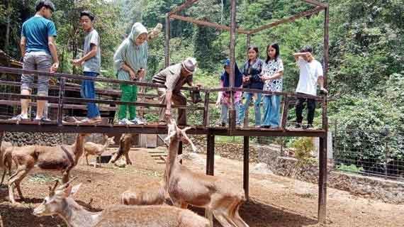 sanctuary rusa belitung