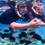 snorkeling Bunaken