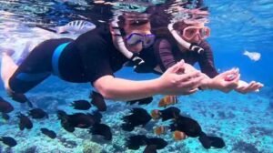 snorkeling Bunaken