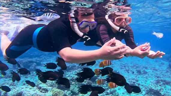 snorkeling Bunaken