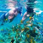 snorkeling Gili Trawangan