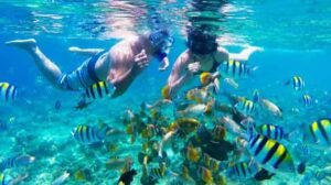 snorkeling Gili Trawangan