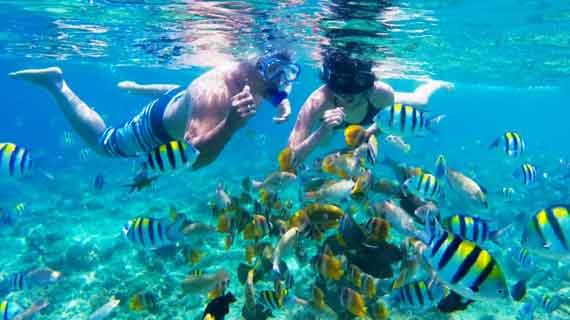 snorkeling Gili Trawangan