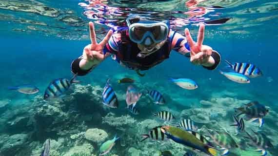 snorkeling Karimunjawa
