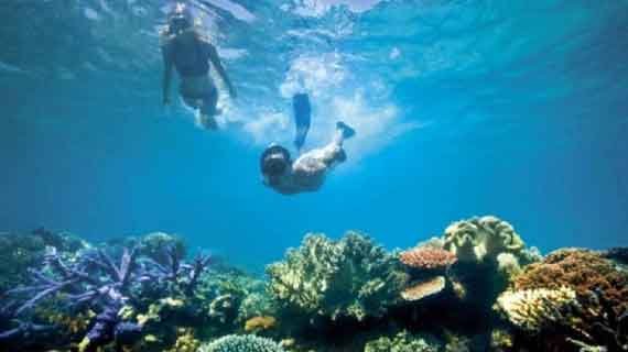 snorkeling Pulau Belitung