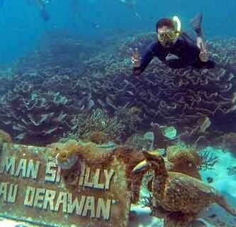 snorkeling Pulau Derawan