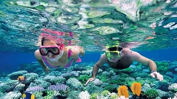 snorkeling Pulau Seribu